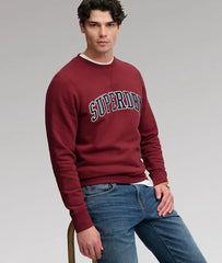 Athletic Applique Relaxed Crew Sweatshirt